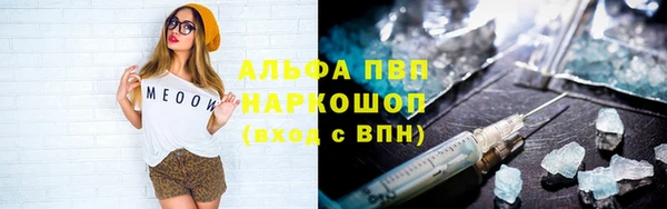 сатива Гусь-Хрустальный