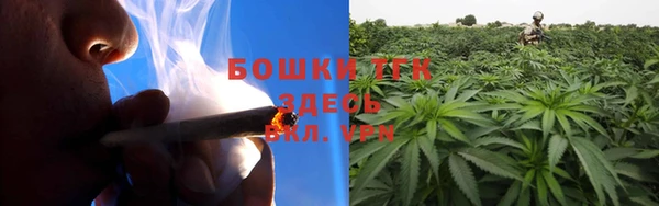 дживик Дмитровск