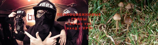 дживик Дмитровск