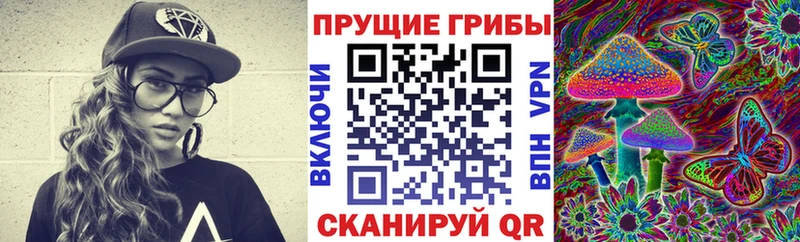 OMG зеркало Сасово Псилоцибиновые грибы Psilocybine cubensis