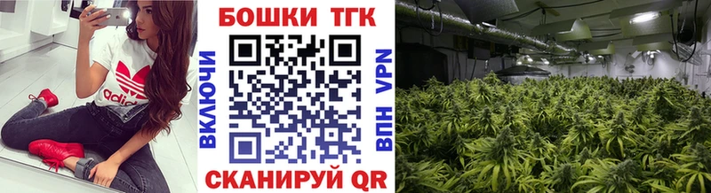 сколько стоит  KRAKEN tor  Марихуана Ganja  Сасово 